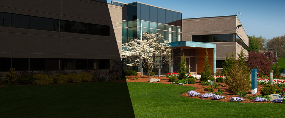 Demarest Landscapers
