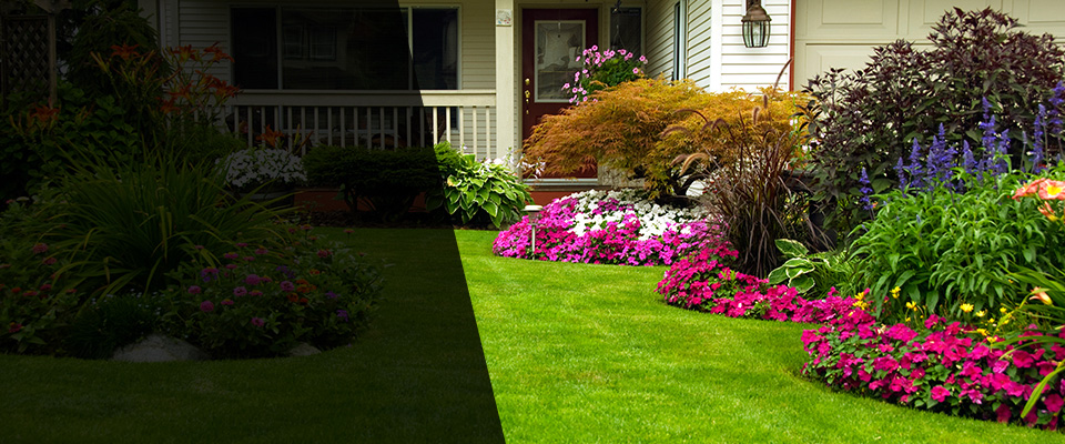 Demarest Landscapers